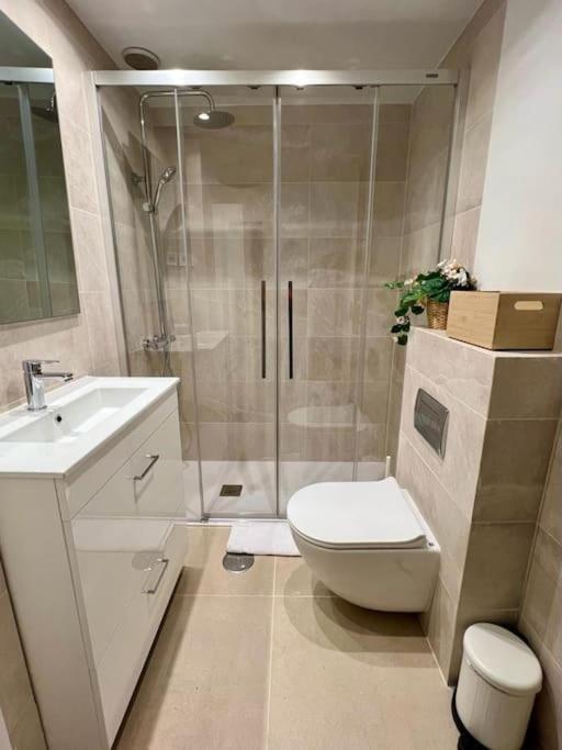 Samaniego Apartment - Madrid Airport エクステリア 写真