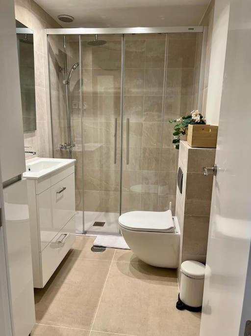 Samaniego Apartment - Madrid Airport エクステリア 写真